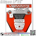 ชุดเสริมคันโยก BIGSBY V7 Adaptor Kit