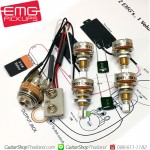 ชุดวงจร EMG Mini Pot 25K Set 4
