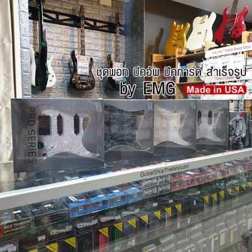 ปิ๊กอัพ EMG PreWired DG20 David Gilmour 