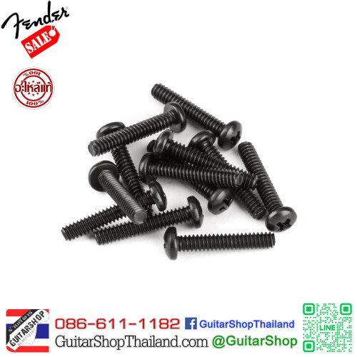 สกรูอินโทรเเนชั่น Fender American Series