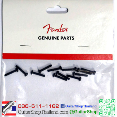 สกรูอินโทรเเนชั่น Fender American Series