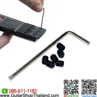 สกรูหนอนล็อคสาย Steinberger