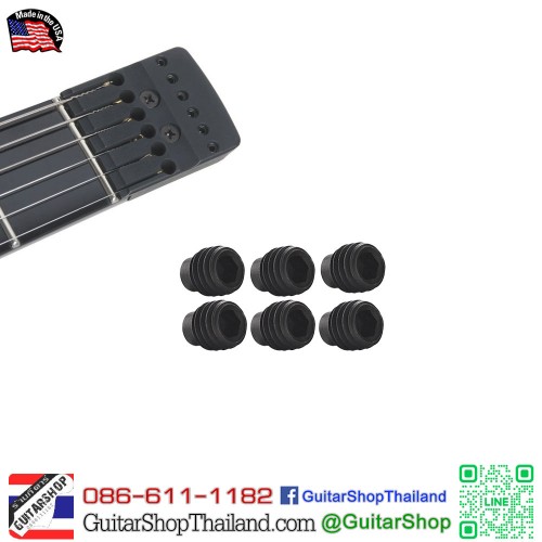 สกรูหนอนล็อคสาย Steinberger