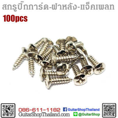 สกรูปิ๊กการ์ด ฝาหลัง ฝาแจ็ค 100ตัว