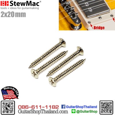 สกรูกรอบปิ๊กอัพกีตาร์หัวจมสีเงิน USA-20mm